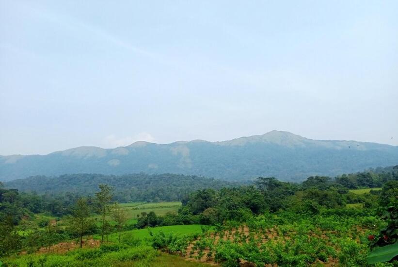 Himani Heritage Resorts, Formerly Camp Nishani Holidays Madikeri Luaran gambar