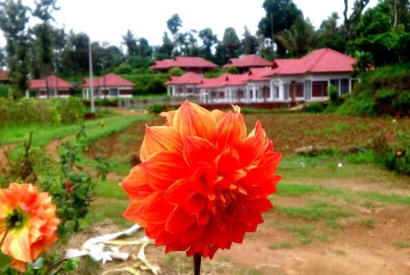 Himani Heritage Resorts, Formerly Camp Nishani Holidays Madikeri Luaran gambar